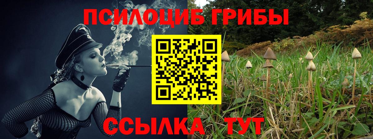 дарнет шоп  Псилоцибиновые грибы Magic Shrooms  Псилоцибиновые грибы MAGIC MUSHROOMS  Вход с VPN  Сургут 