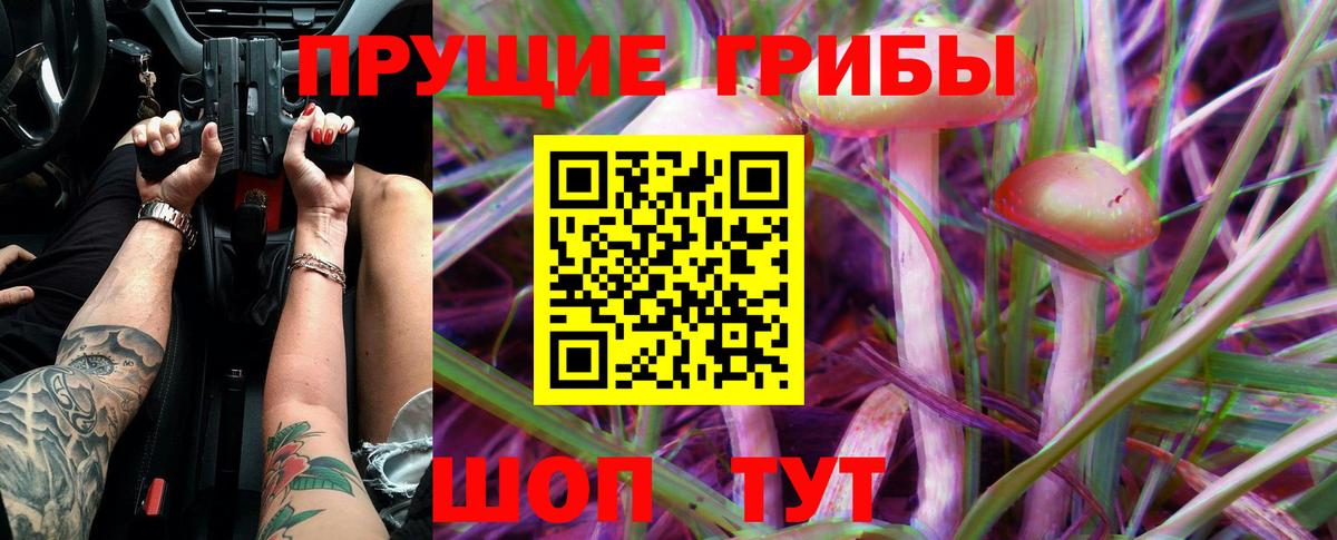 Псилоцибиновые грибы Magic Shrooms Сургут